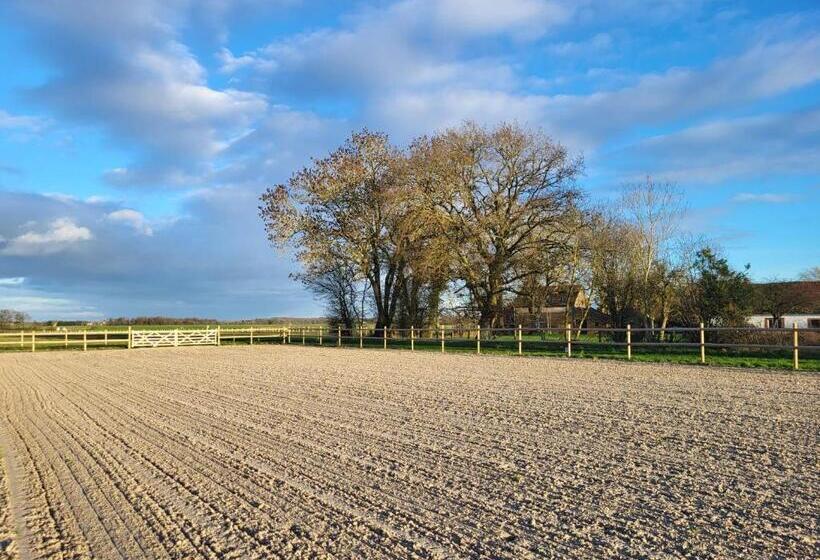 ベッドアンドブレックファースト Chambre D Hôtes Au Haras D Agathe Et Ses Princes