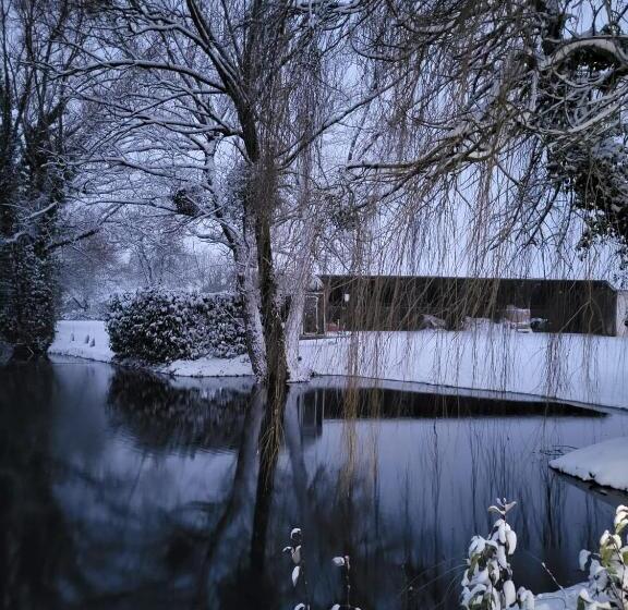 ベッドアンドブレックファースト Chambre D Hôtes Au Haras D Agathe Et Ses Princes