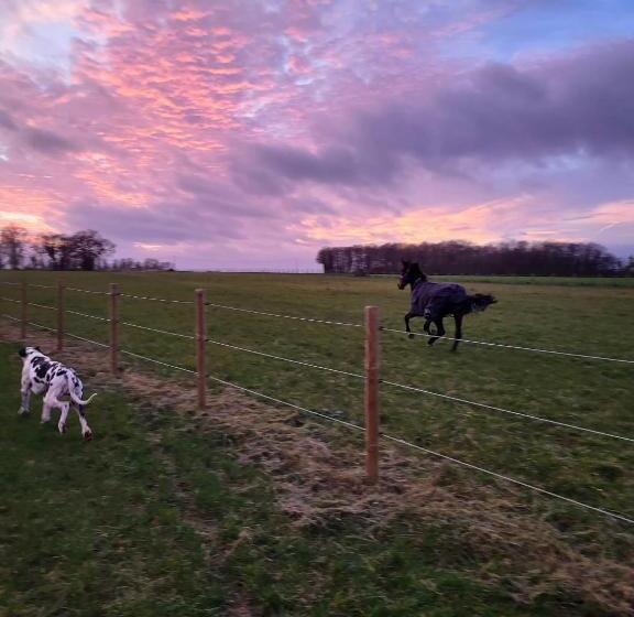 ベッドアンドブレックファースト Chambre D Hôtes Au Haras D Agathe Et Ses Princes