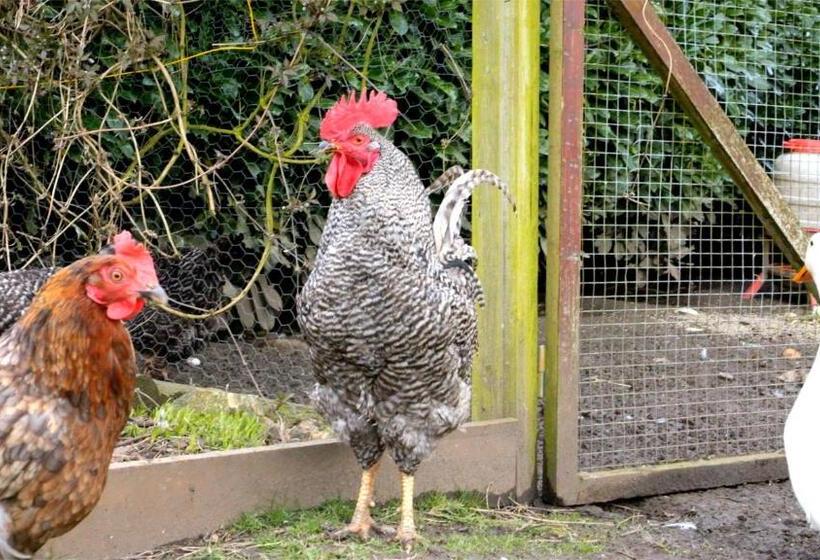 צימר Cherrygarth Cottage