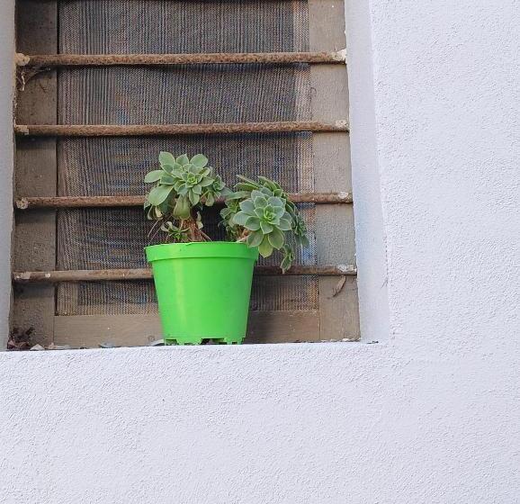 Bed And Breakfast Da Peppino