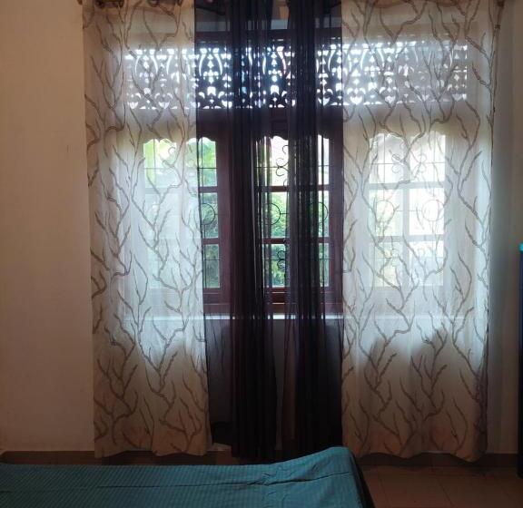 Bed and Breakfast Fernando Residencies