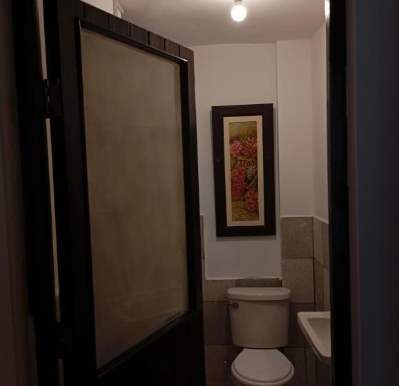 تختخواب و صبحانه Goya Shostel