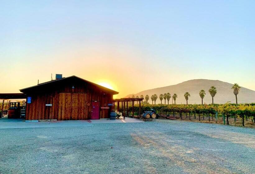 ベッドアンドブレックファースト Sequoia View Vineyard