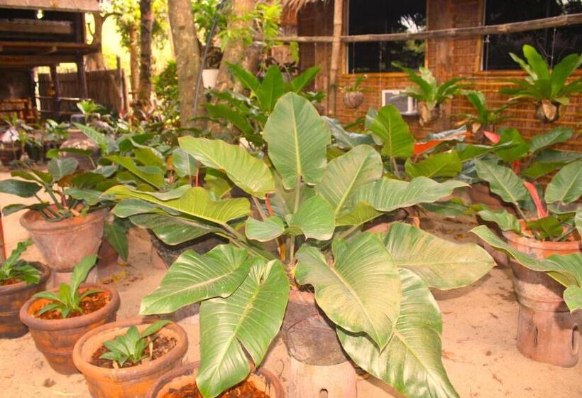 Driftwood Village Resort