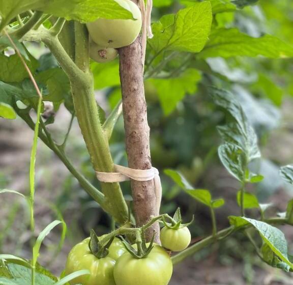 בית מלון כפרי Agroturizem Eldi