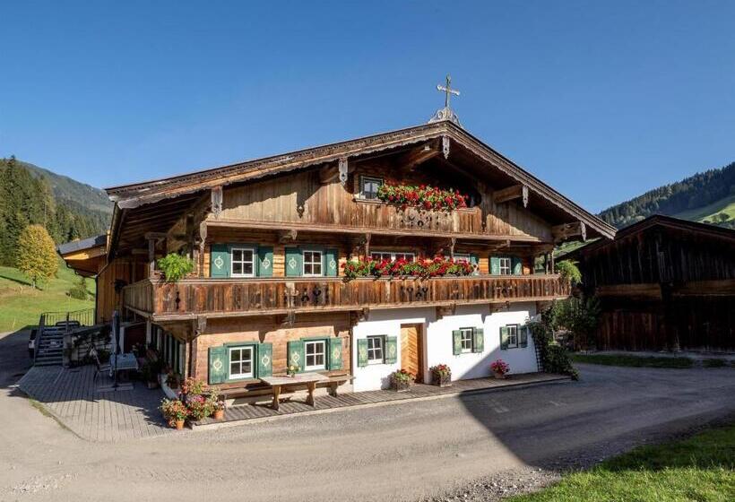 ホテル Appartement Hintermitterast