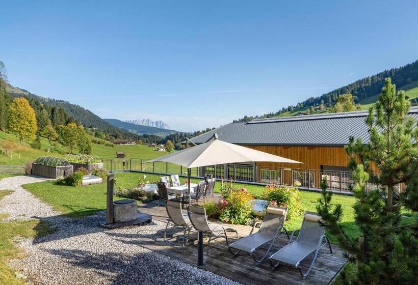 ホテル Appartement Hintermitterast