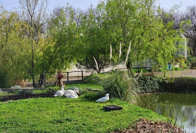 فندق Capayrou   La Plume