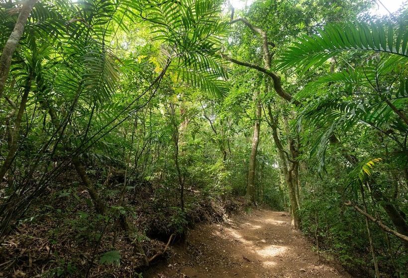 ホテル Elida Lodge Monteverde