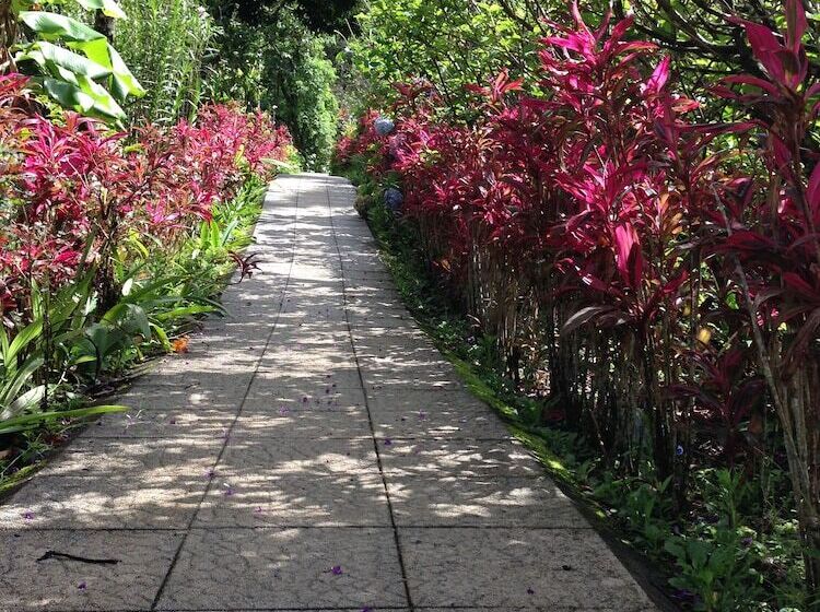 ホテル Elida Lodge Monteverde