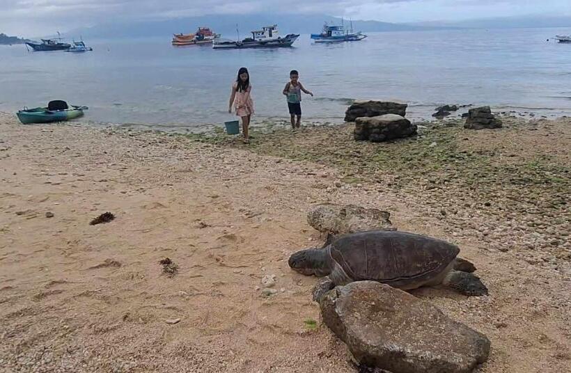 Отель Fins Pacific Coray Bay By Hiverooms