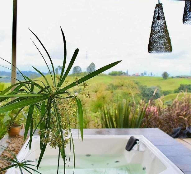 Отель Nalu Hammam Thalassoterapia