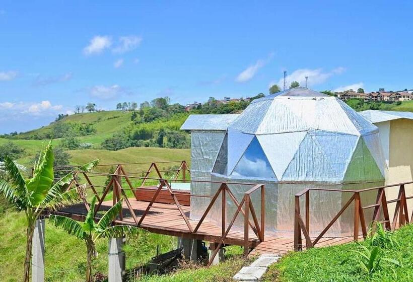 Отель Nalu Hammam Thalassoterapia