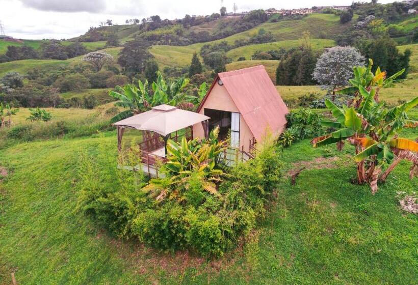 Отель Nalu Hammam Thalassoterapia