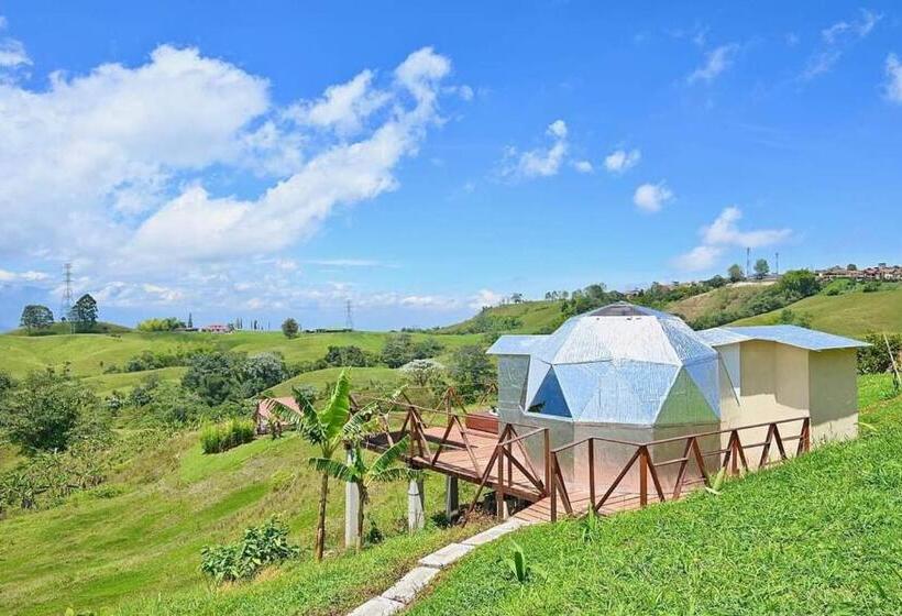 Отель Nalu Hammam Thalassoterapia