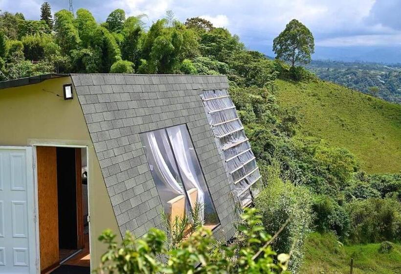 Отель Nalu Hammam Thalassoterapia