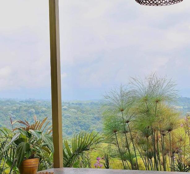 Отель Nalu Hammam Thalassoterapia