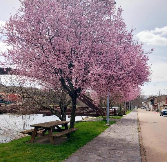 호텔 Rural Orquidea