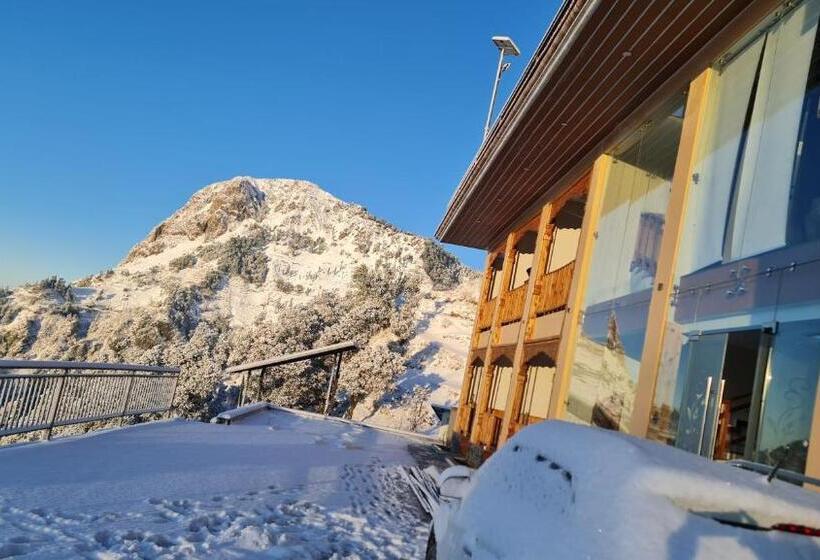 בית מלון כפרי The Wild Arena