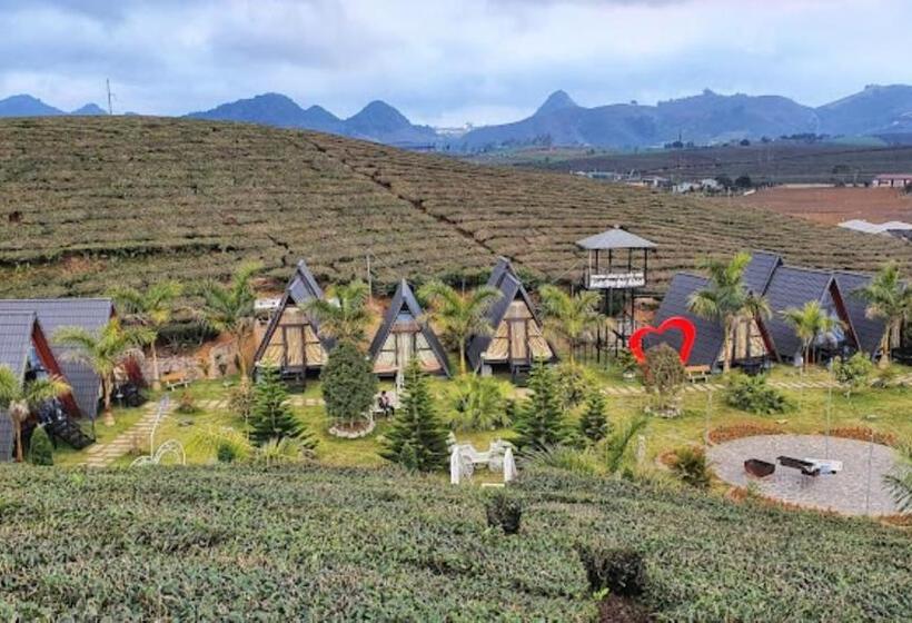 هتل Thung Lũng Ba đồi Chè