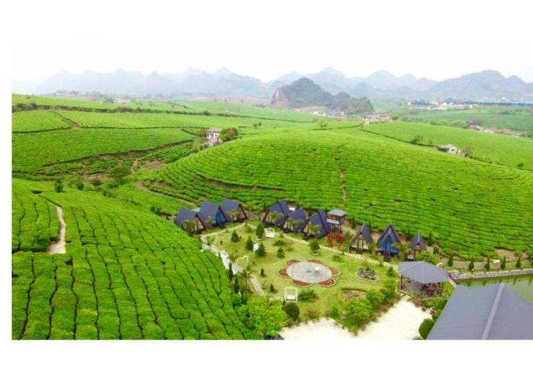 هتل Thung Lũng Ba đồi Chè