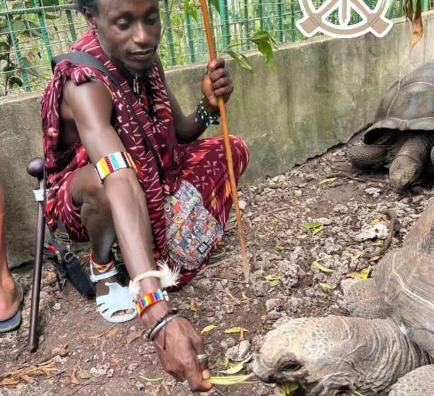 فندق Villa Peace And Color