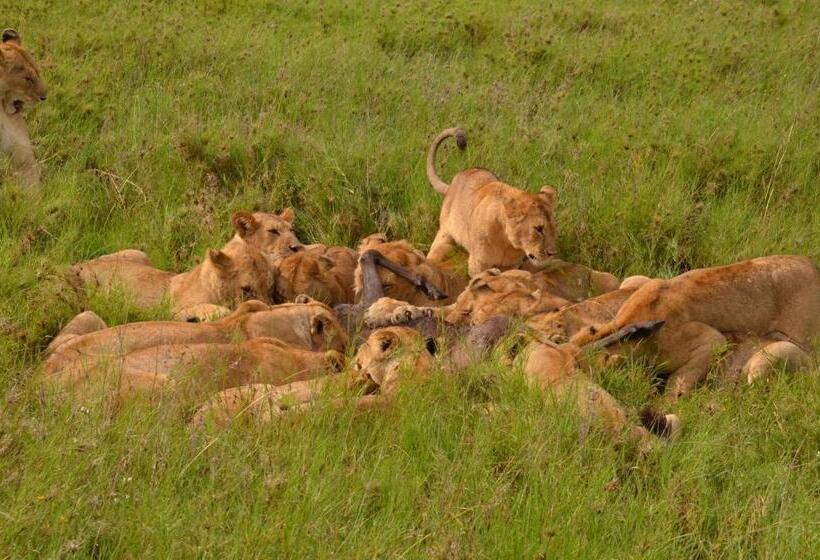 فندق Villa Peace And Color