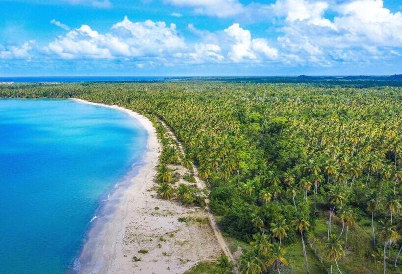 Viva Miches By Wyndham, A Trademark All Inclusive Resort