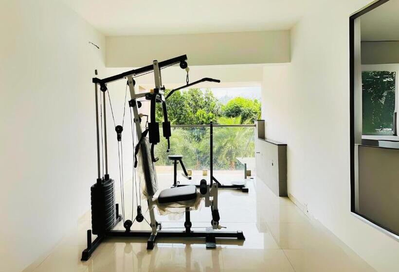 Misty Skywind Retreat