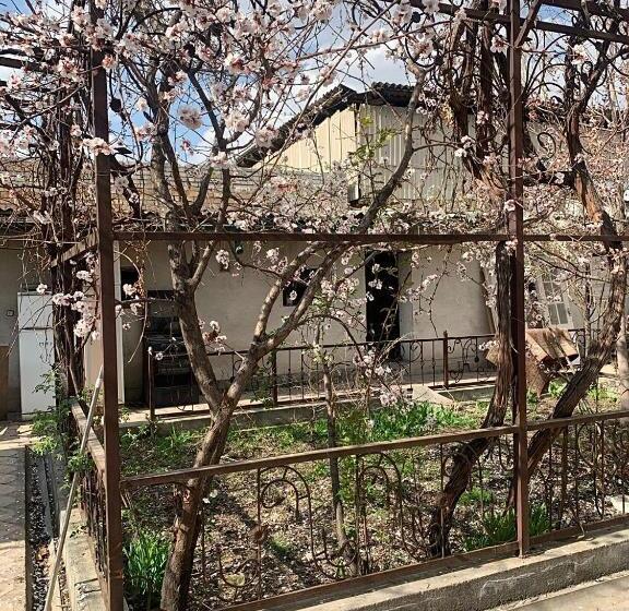 پانسیون Altan Hostel Osh