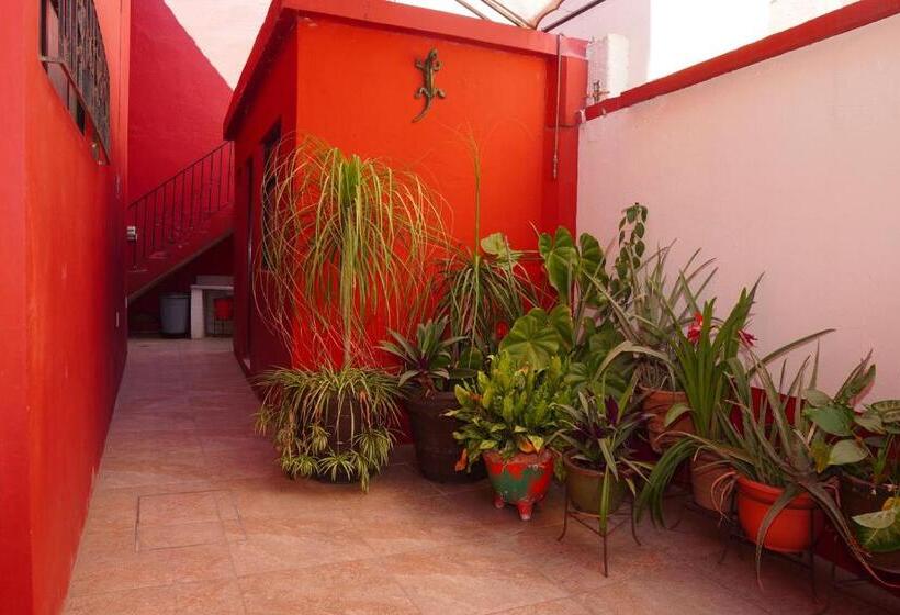 פנסיון Barrio Alto Hostal