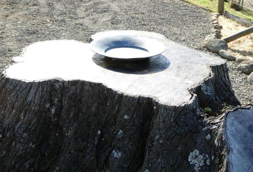 פנסיון The Healthy Guesthouse