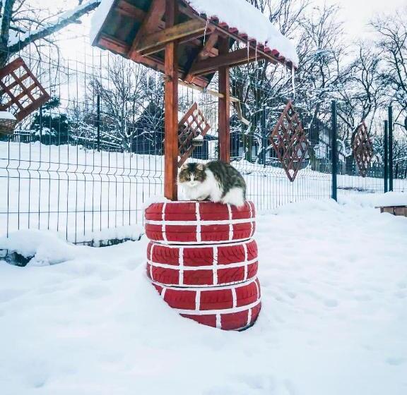 פנסיון Hilltop House