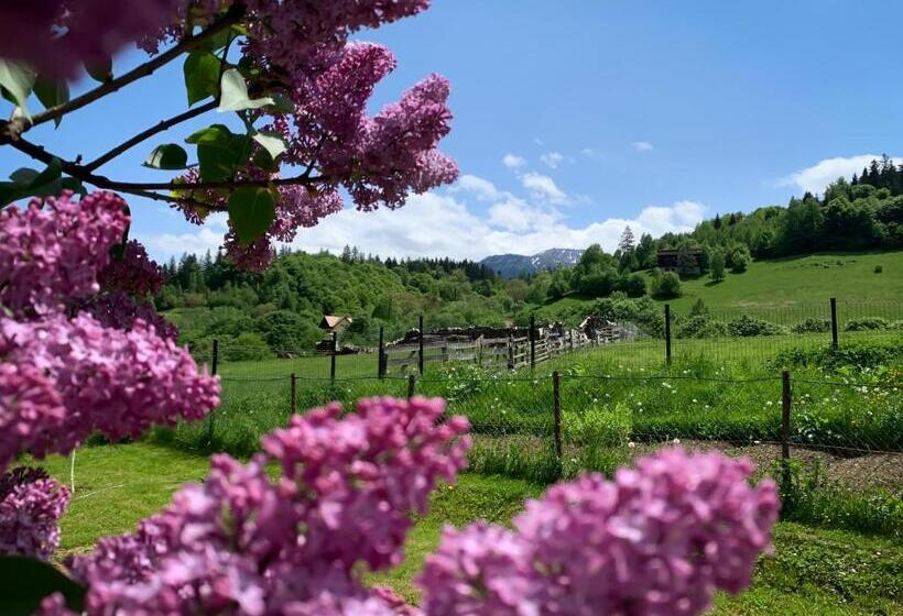 פנסיון Hilltop House