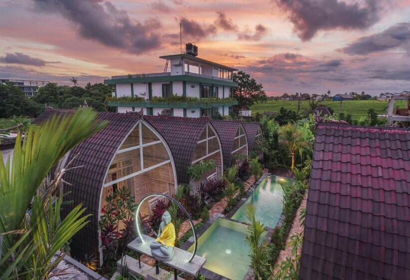 פנסיון Ila Gaia Bali