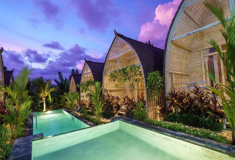 פנסיון Ila Gaia Bali