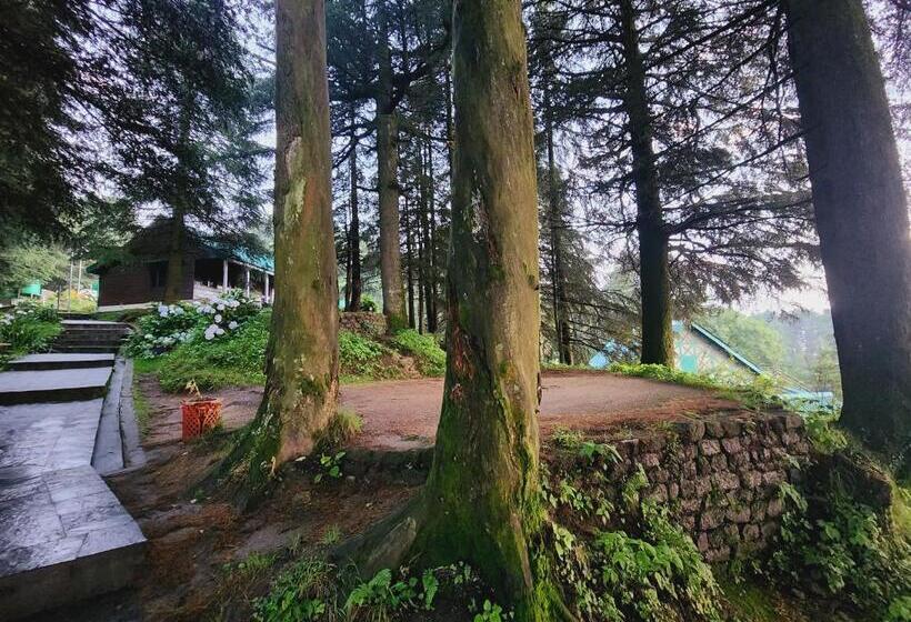 بنسيون Smart Valley View Dalhousie