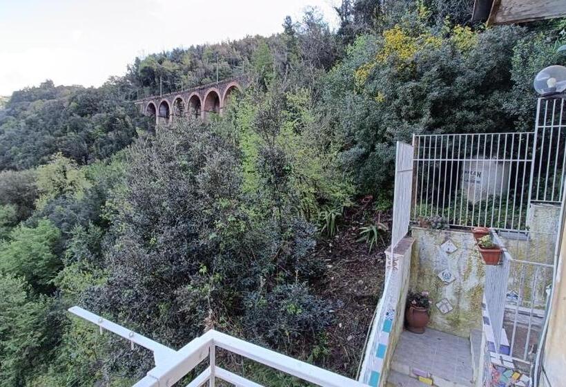 Пансион Maya Guest House