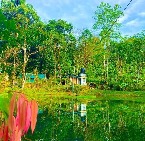 Пансион Mist Of Sinharaja Eco Lodge