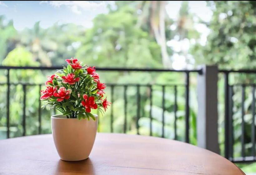 פנסיון Modern Room W/ Desk, Office Chair & Kitchenette /2