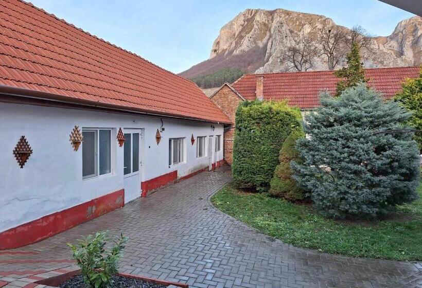 بنسيون Vigh Vendégház