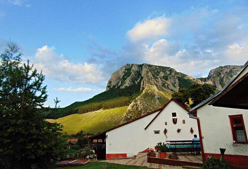 بنسيون Vigh Vendégház