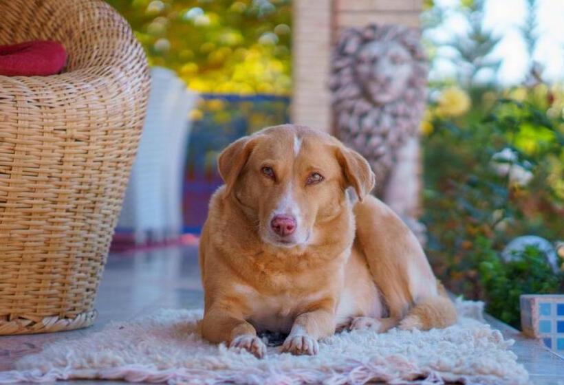 پانسیون Villa Coup De Cœur