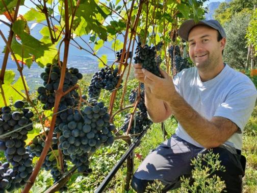 فندق Agritur Calvola