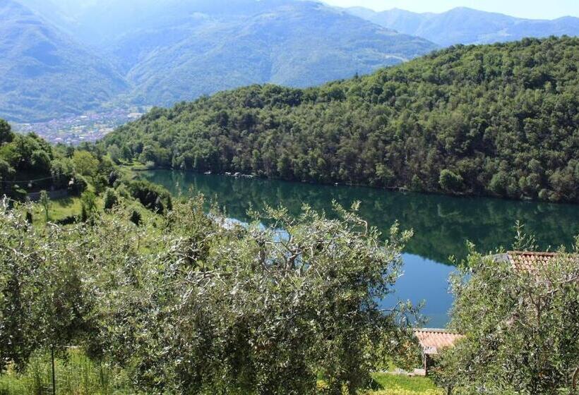 בית מלון כפרי Agriturismo Il Moro