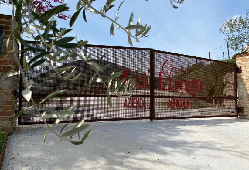 فندق Azienda Agricola Ca  Lunga
