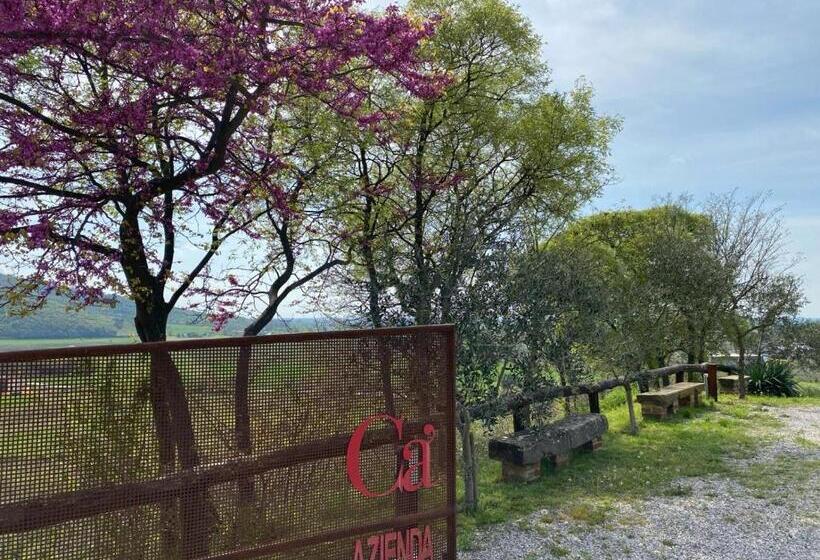 فندق Azienda Agricola Ca  Lunga
