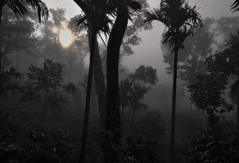酒店 Coffee Nest Coorg