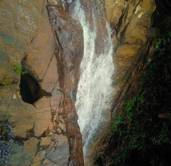 Отель Dulma Sinharaja Resot